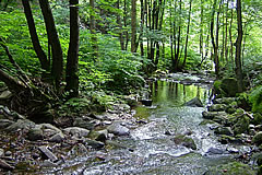 Internetseite Landkreis - Wasser & Boden