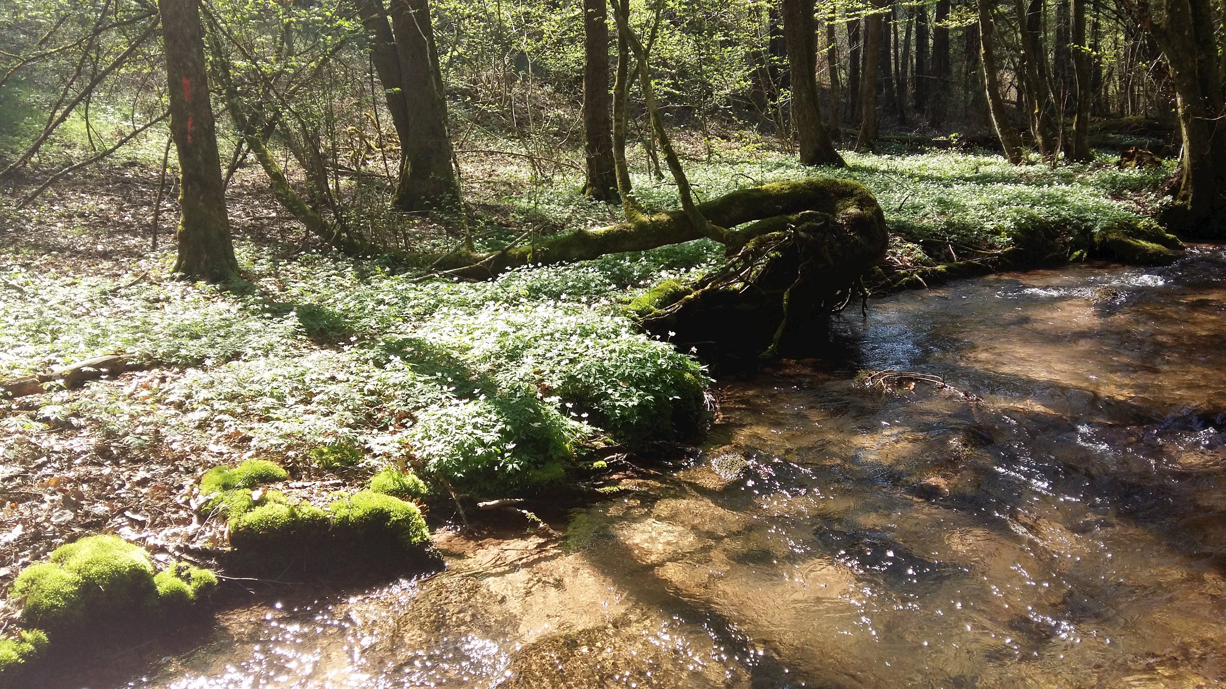 Fahrt in Biosphärenreservate bringt wichtige Erkenntnisse