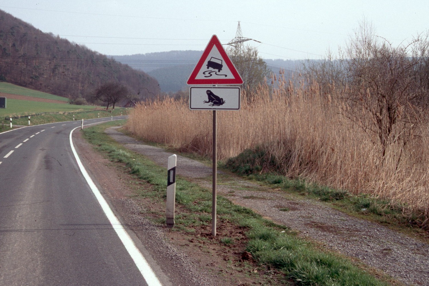 Amphibien wandern wieder - Zusätzliche Straßensperrungen