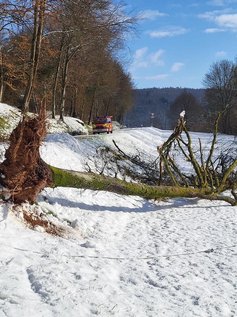 Leider haben wir keinen Alternativtext zu diesem Bild, aber wir arbeiten daran.