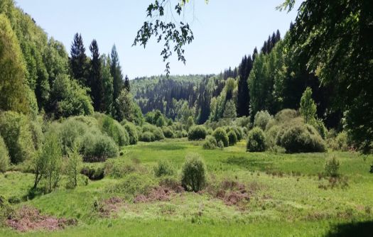 Viele Fragen und Antworten zum geplanten Biosphärenreservat Spessart